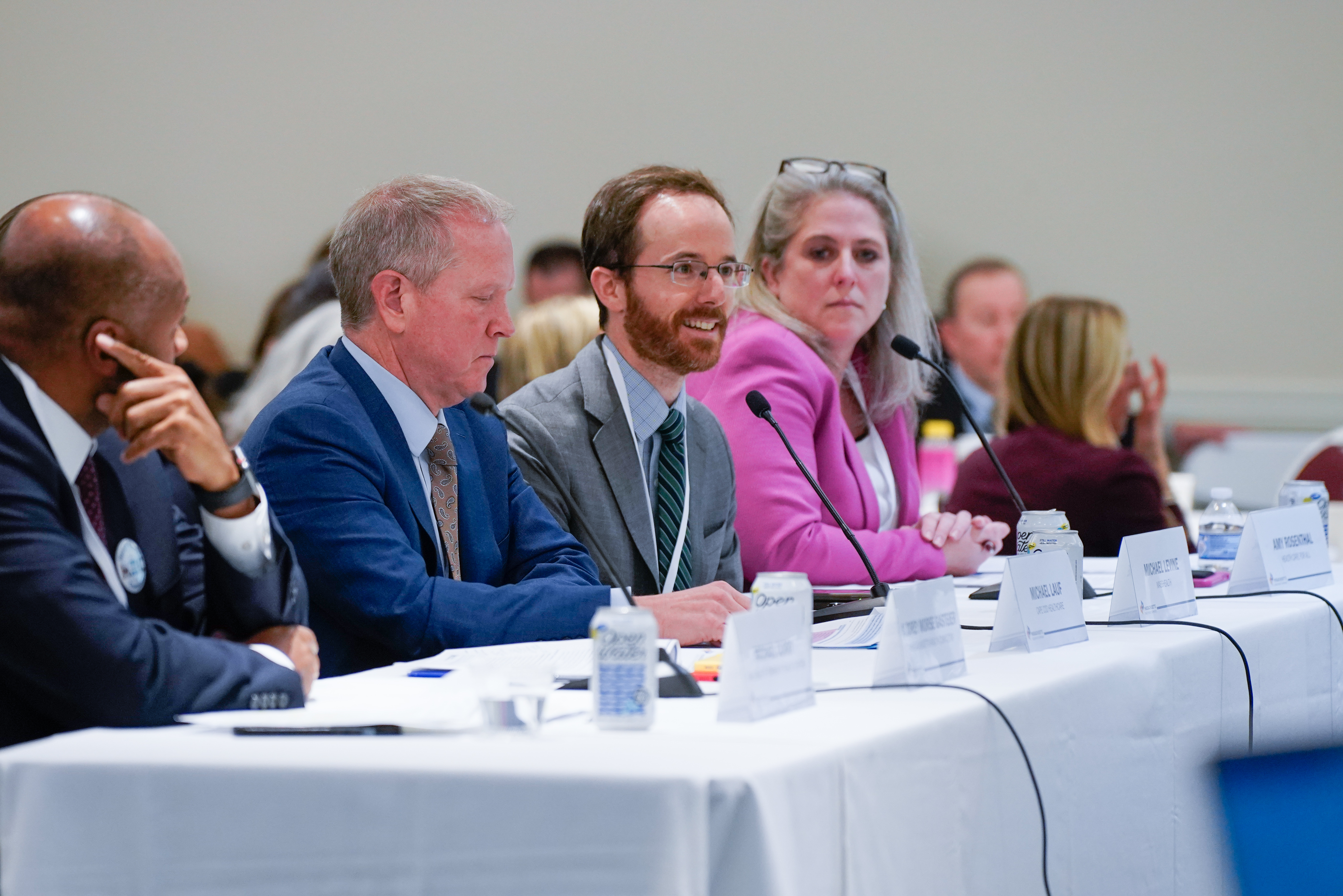 Photo of the five panelists on panel 2, sitting at a long table while providing testimony. One of the panelists is speaking into a microphone.
